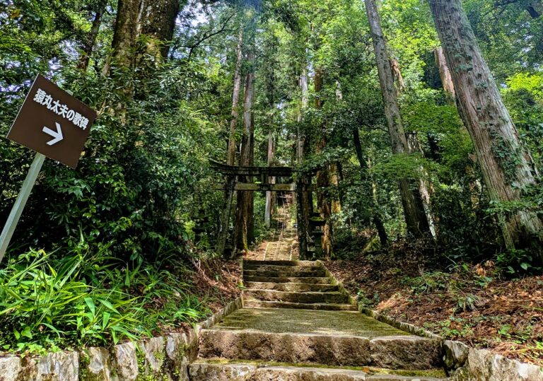 瀧神社（岐阜・美濃市）滝のせせらぎと巨木に包まれるパワースポット